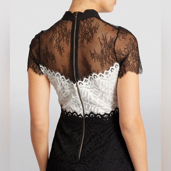 Sandro Paris Rosen Two Tone Sheer Mini Dress Sz 2 - Picture 11 of 16